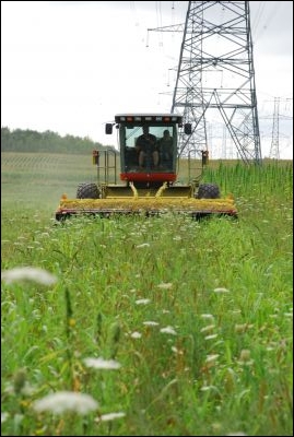 Harvesting Hemp at Hartacre Farms for Biofuel