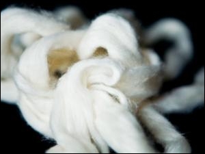 Crailar hemp fibers