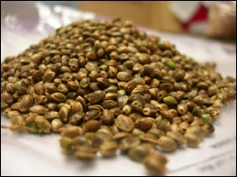 Canadian Hempseed