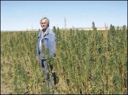 Hemp Farmer Dave Ackland