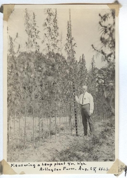 Lyster Dewey, Arlington Farms August 28, 1929