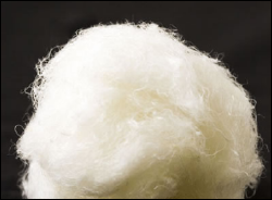 Hemp Fiber