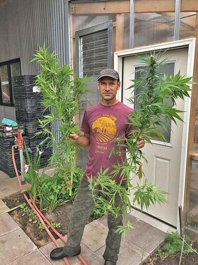 Indiana InDepth: Indiana's hemp industry going through growing pains